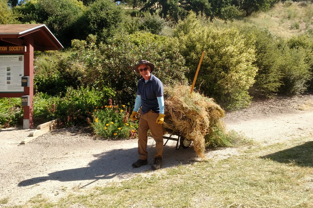 Mark taking a wheelbarrow of weeds to the pile.